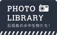 PHOTO LIBRARY